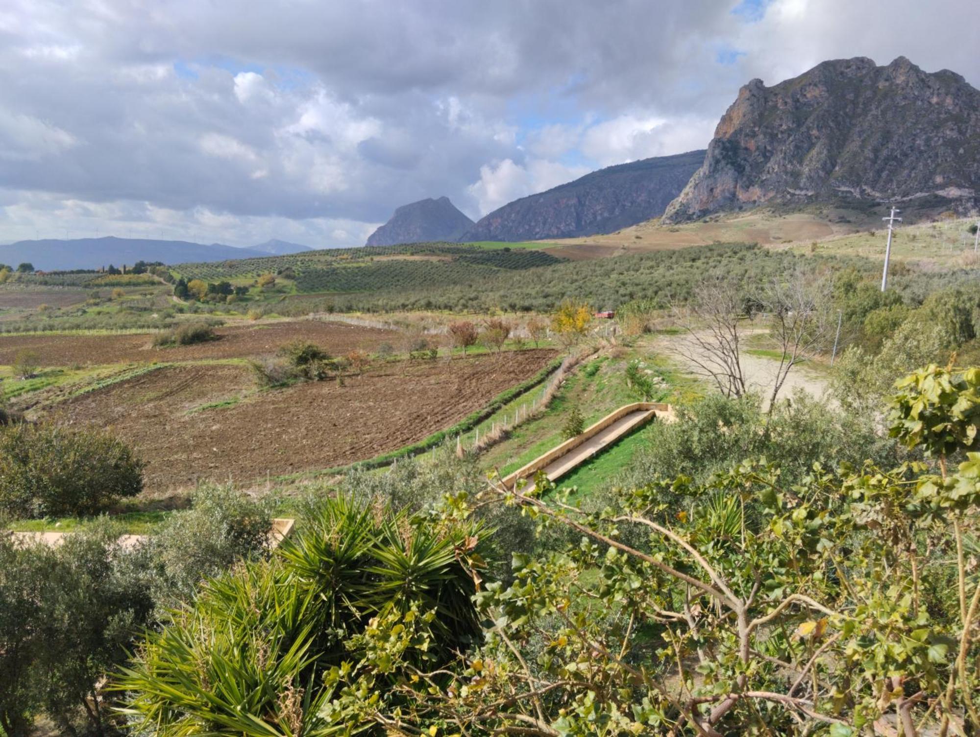 Agriturismo Masseria La Chiusa San Giuseppe Jato Eksteriør bilde
